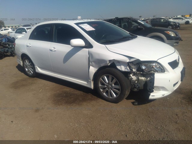 TOYOTA COROLLA 2010 2t1bu4ee5ac447729