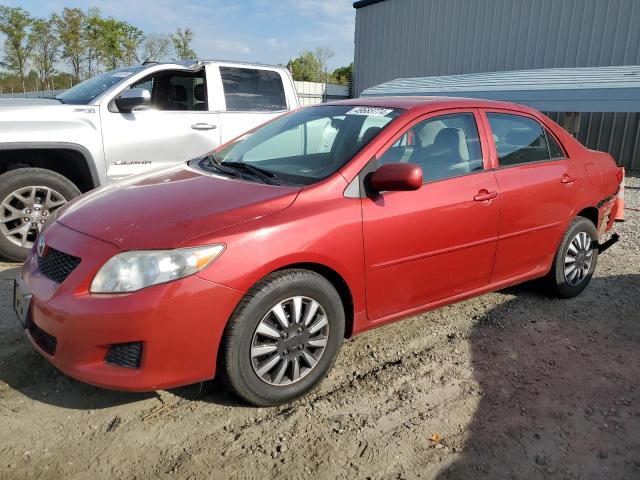 TOYOTA COROLLA 2010 2t1bu4ee5ac449688