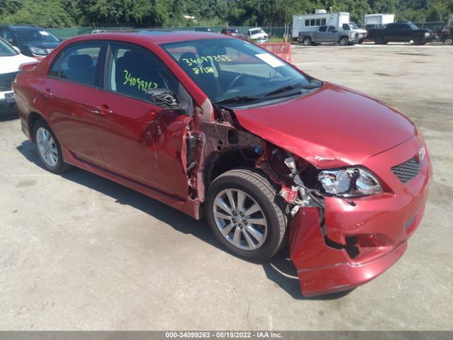 TOYOTA COROLLA 2010 2t1bu4ee5ac450825