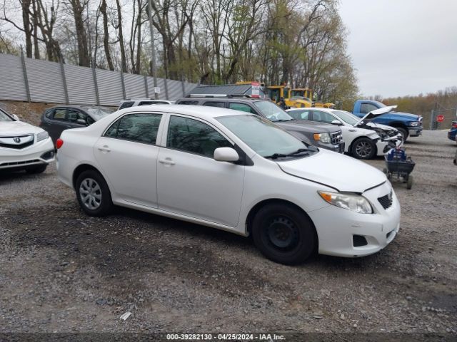 TOYOTA COROLLA 2010 2t1bu4ee5ac484599