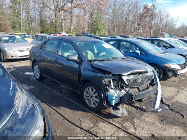 TOYOTA COROLLA 2010 2t1bu4ee5ac492461