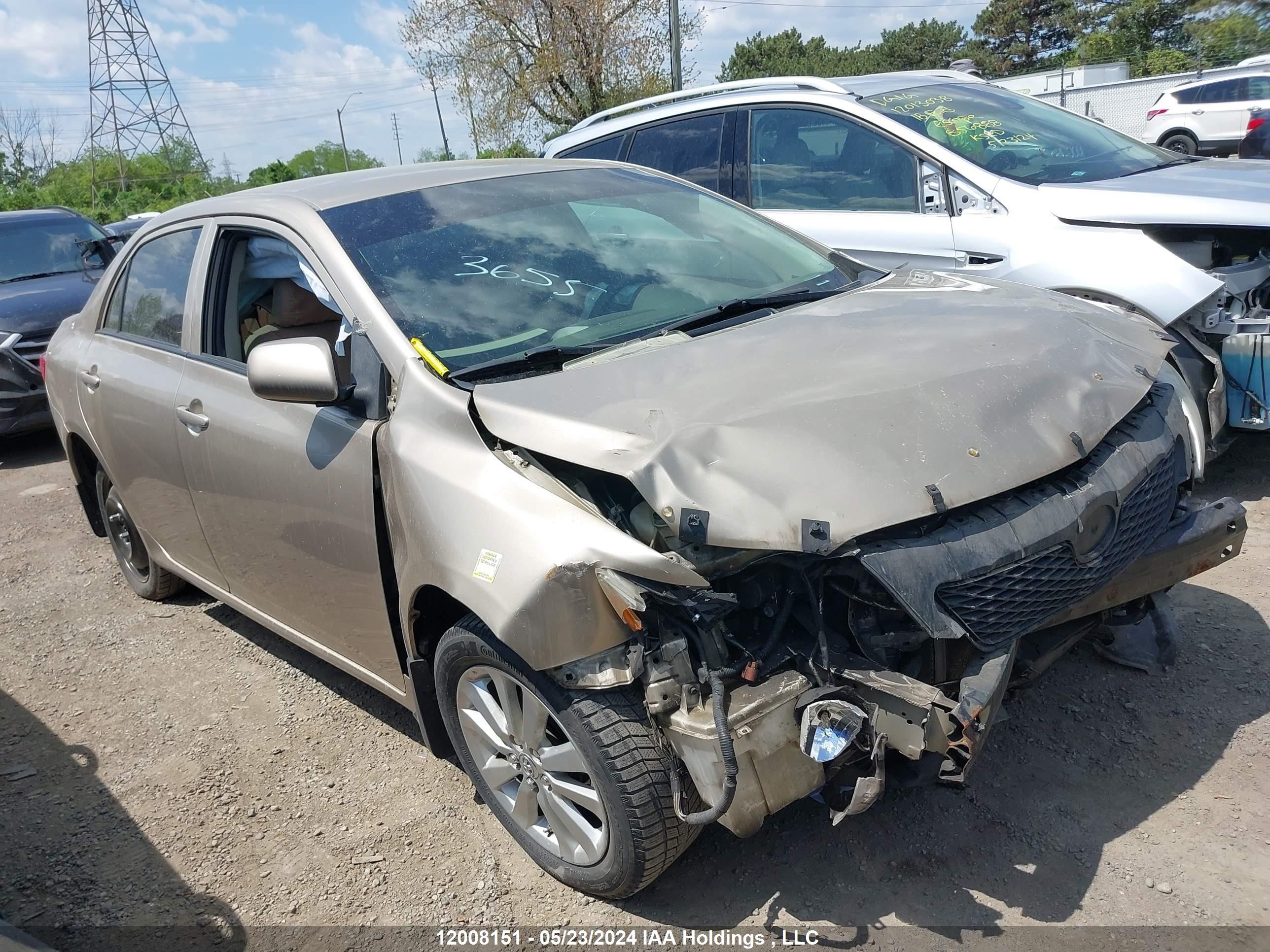 TOYOTA COROLLA 2010 2t1bu4ee5ac493321