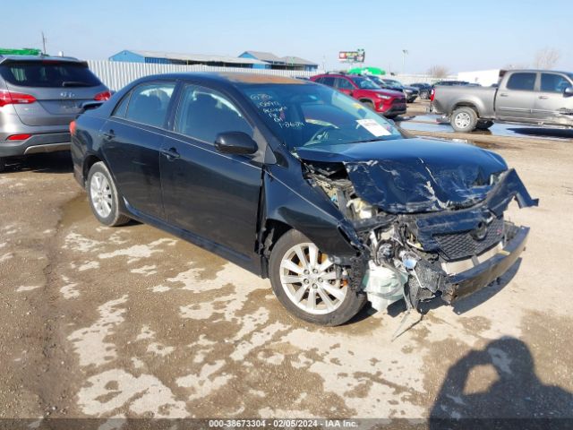 TOYOTA COROLLA 2010 2t1bu4ee5ac509727