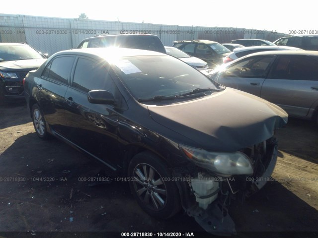 TOYOTA COROLLA 2010 2t1bu4ee5ac518895