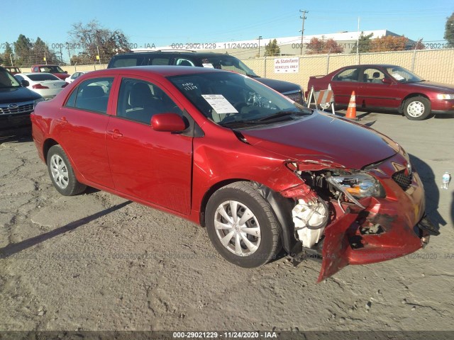 TOYOTA COROLLA 2010 2t1bu4ee5ac533719