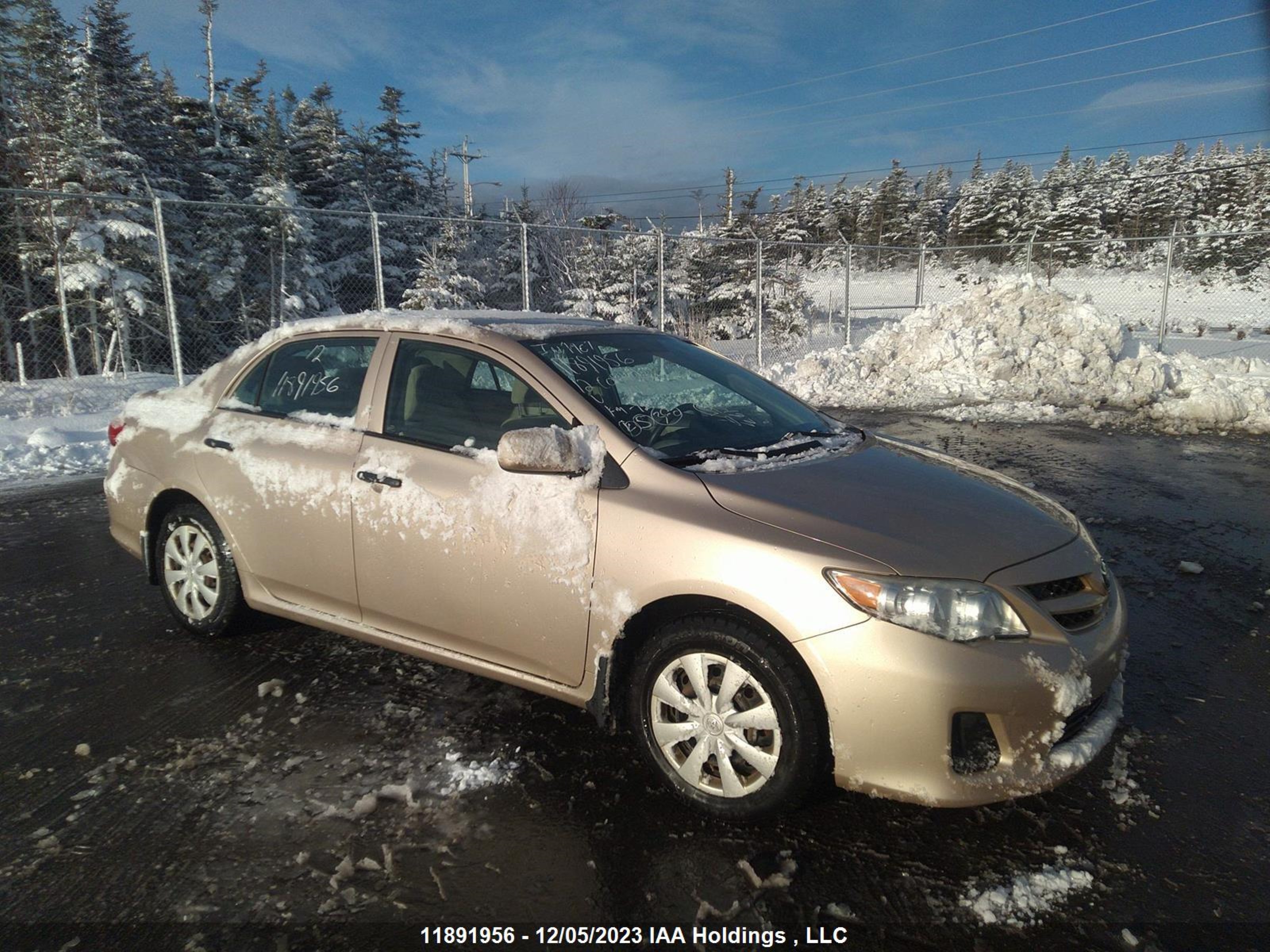 TOYOTA COROLLA 2012 2t1bu4ee5cc761335