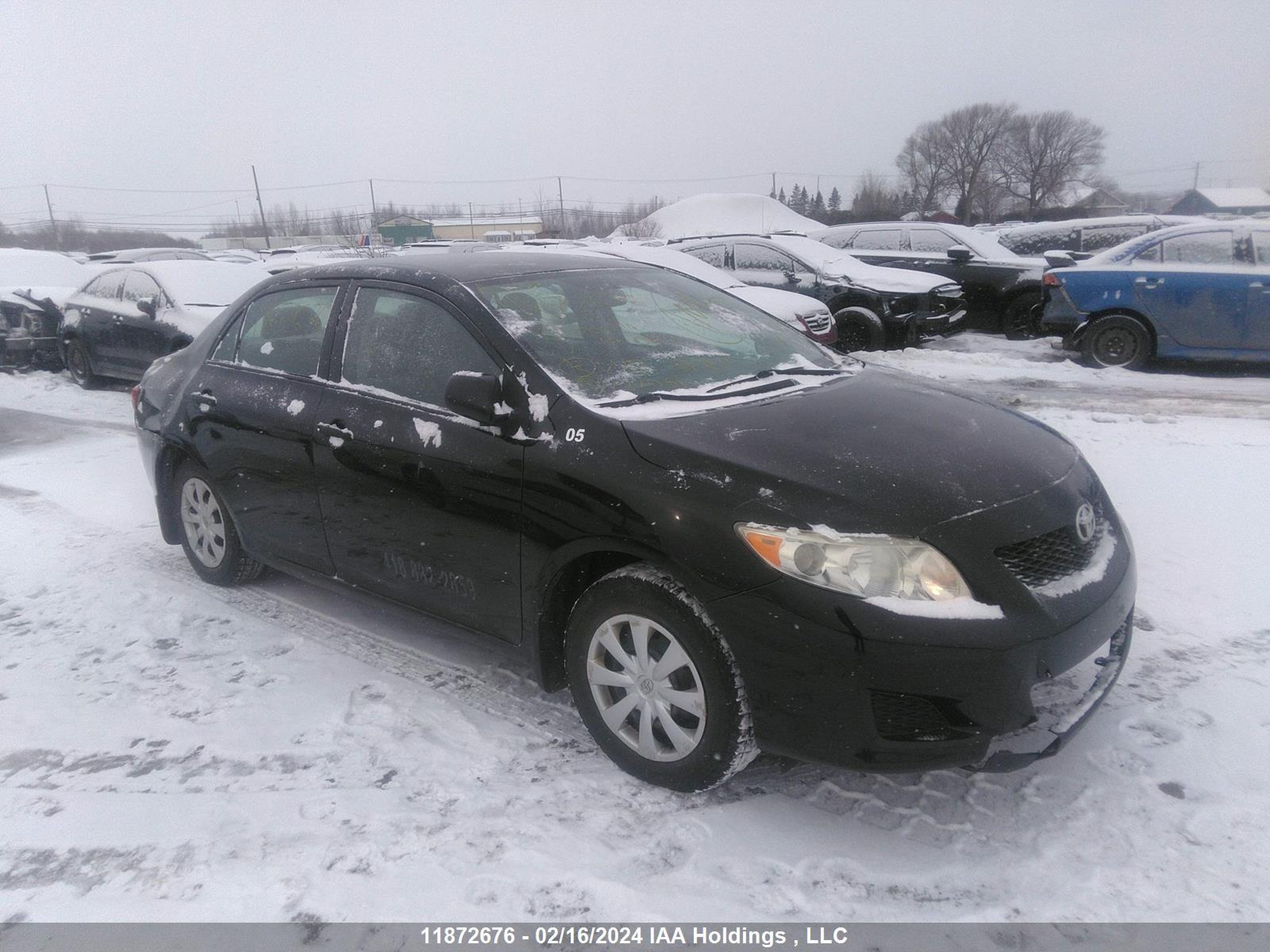 TOYOTA COROLLA 2010 2t1bu4ee6ac191083