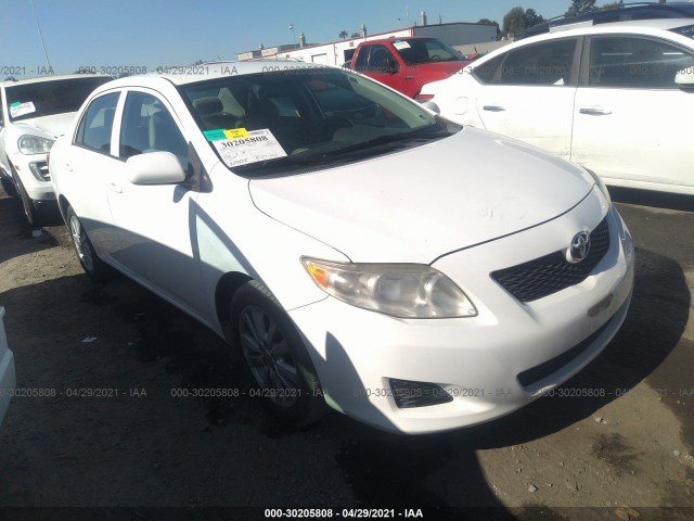 TOYOTA COROLLA 2010 2t1bu4ee6ac196154