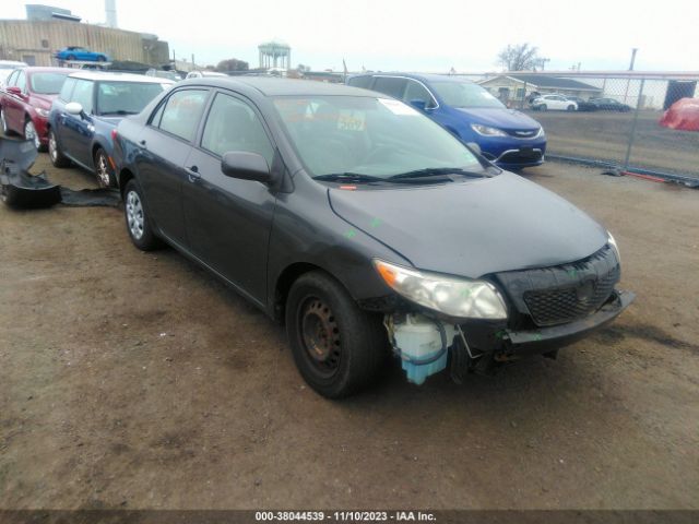 TOYOTA COROLLA 2010 2t1bu4ee6ac223613