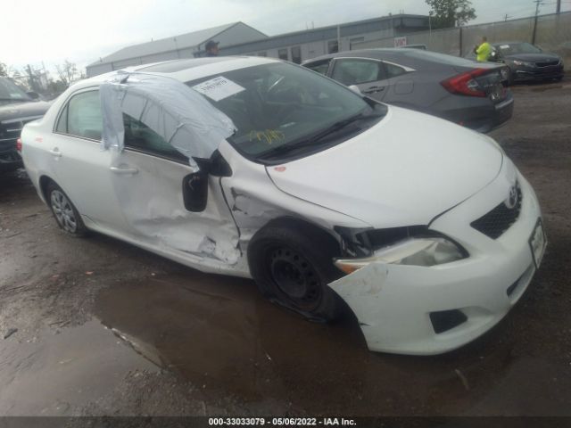 TOYOTA COROLLA 2010 2t1bu4ee6ac243022