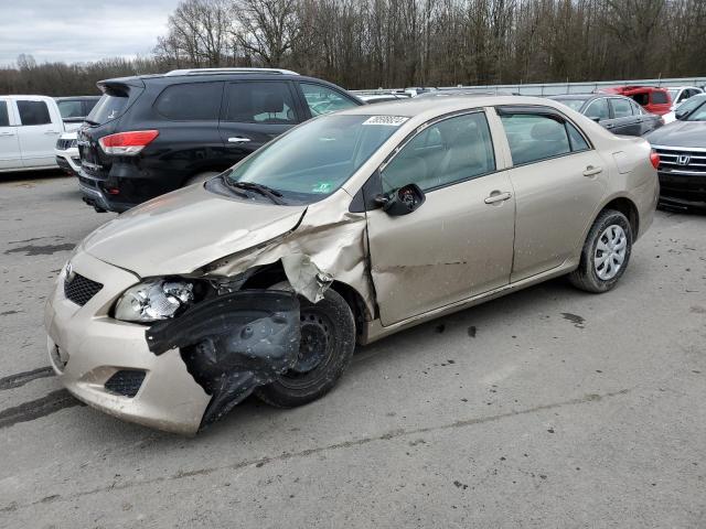 TOYOTA COROLLA 2010 2t1bu4ee6ac249645