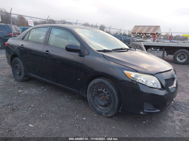 TOYOTA COROLLA 2010 2t1bu4ee6ac251556