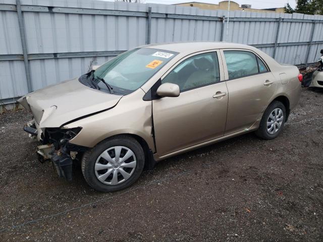 TOYOTA COROLLA BA 2010 2t1bu4ee6ac259124