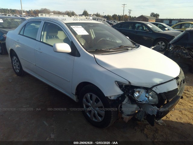 TOYOTA COROLLA 2010 2t1bu4ee6ac263416