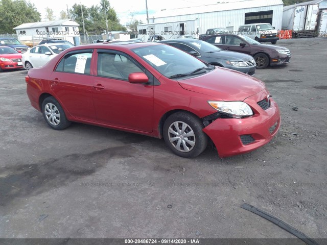 TOYOTA COROLLA 2010 2t1bu4ee6ac311108