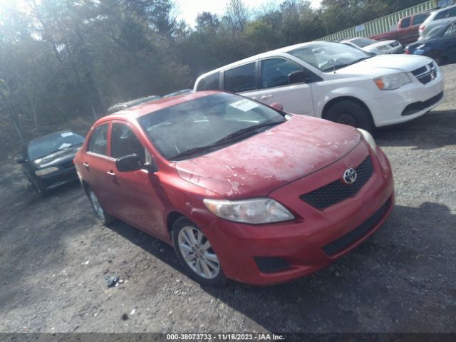 TOYOTA COROLLA 2010 2t1bu4ee6ac312484