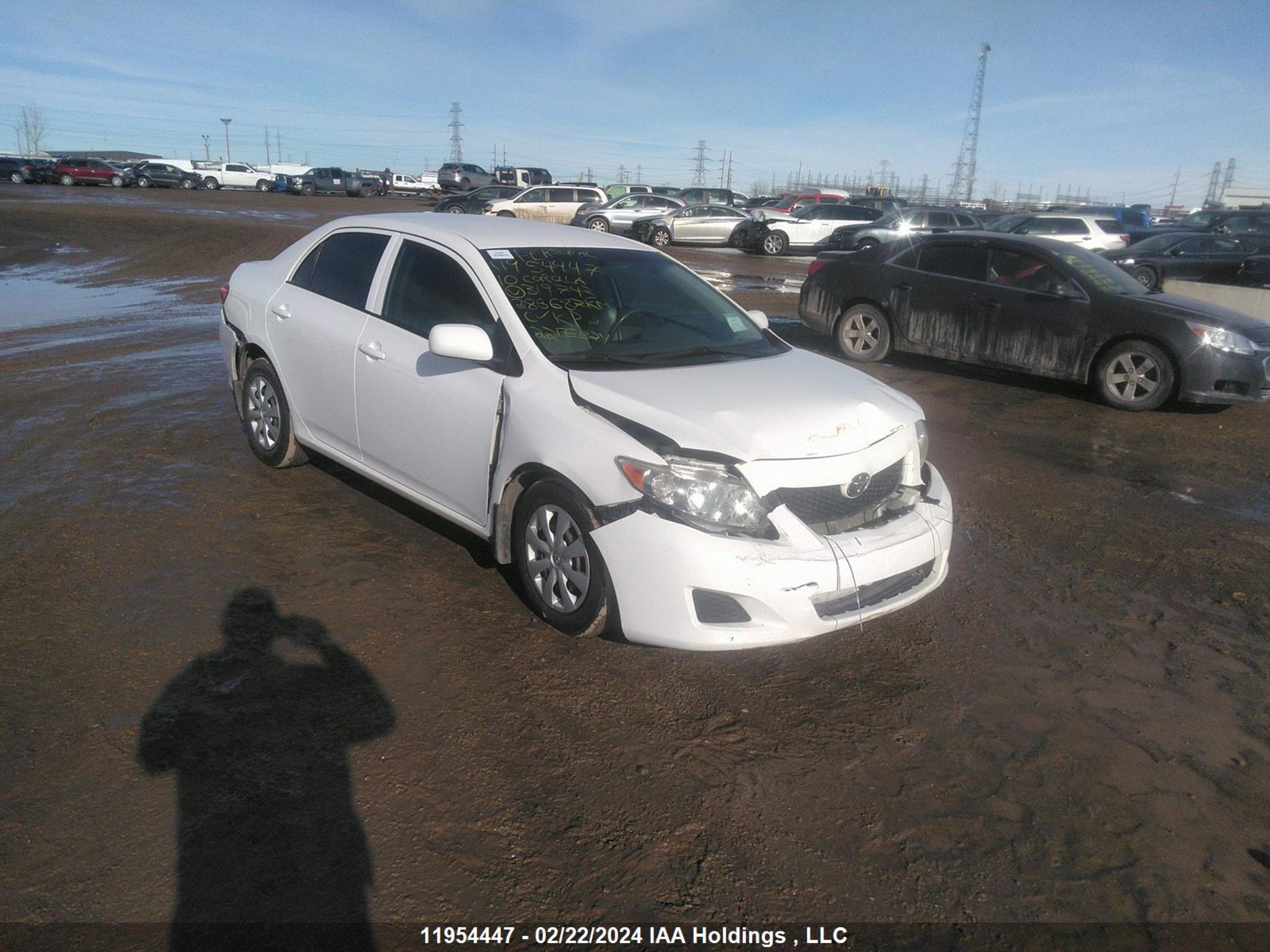 TOYOTA COROLLA 2010 2t1bu4ee6ac319743