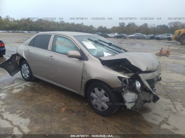 TOYOTA COROLLA 2010 2t1bu4ee6ac328099