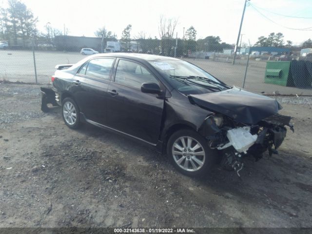 TOYOTA COROLLA 2010 2t1bu4ee6ac329317