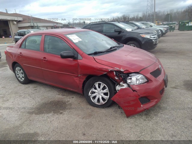 TOYOTA COROLLA 2010 2t1bu4ee6ac385158