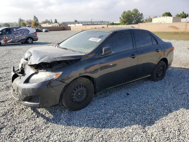 TOYOTA COROLLA 2010 2t1bu4ee6ac398511