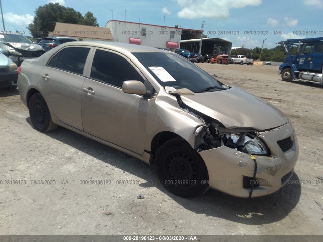 TOYOTA COROLLA 2010 2t1bu4ee6ac404503