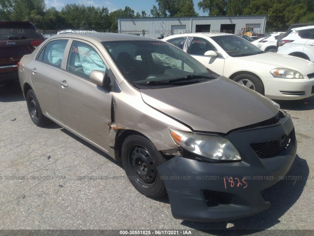 TOYOTA COROLLA 2010 2t1bu4ee6ac426310