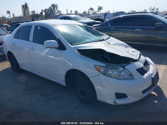 TOYOTA COROLLA 2010 2t1bu4ee6ac433841