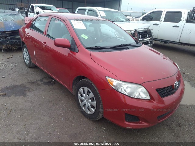 TOYOTA COROLLA 2010 2t1bu4ee6ac456231