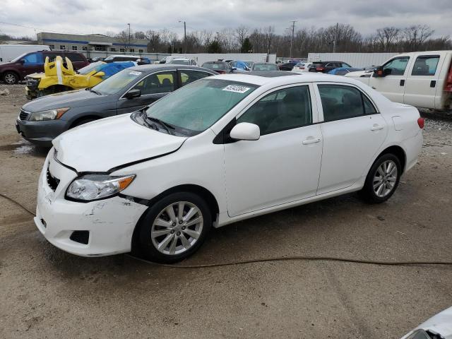 TOYOTA COROLLA 2010 2t1bu4ee6ac470503