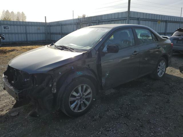 TOYOTA COROLLA 2010 2t1bu4ee6ac473062