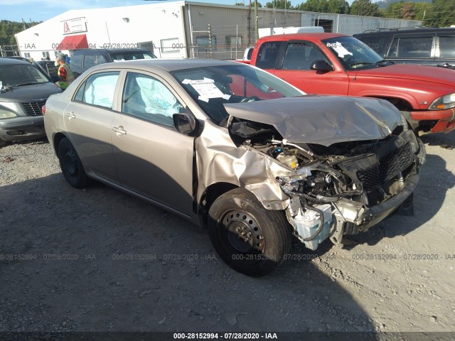 TOYOTA COROLLA 2010 2t1bu4ee6ac507775