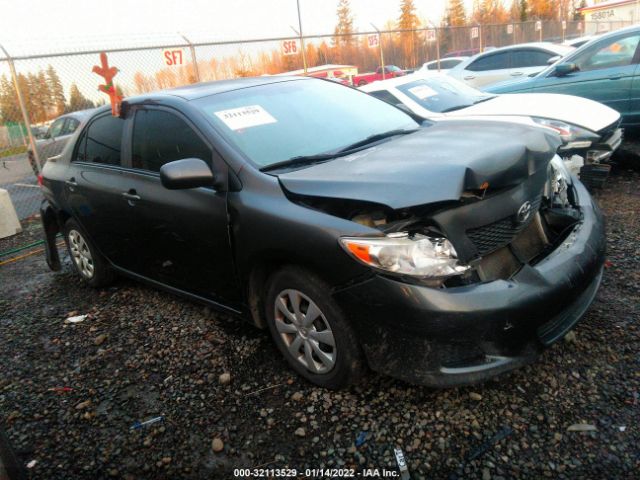 TOYOTA COROLLA 2010 2t1bu4ee6ac508098