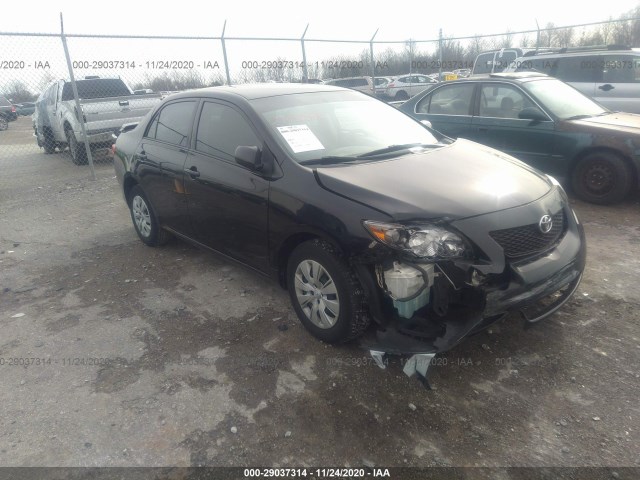 TOYOTA COROLLA 2010 2t1bu4ee6ac519716