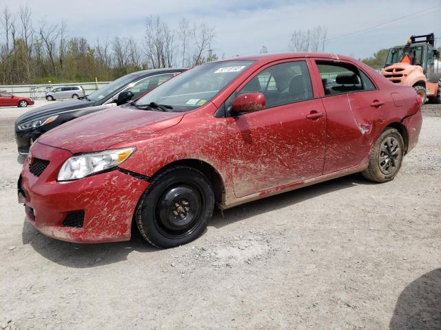 TOYOTA COROLLA BA 2010 2t1bu4ee6ac534846