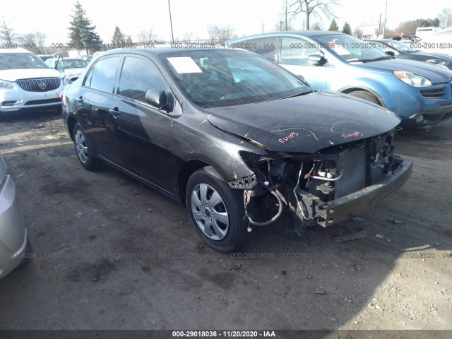 TOYOTA COROLLA 2011 2t1bu4ee6bc742646