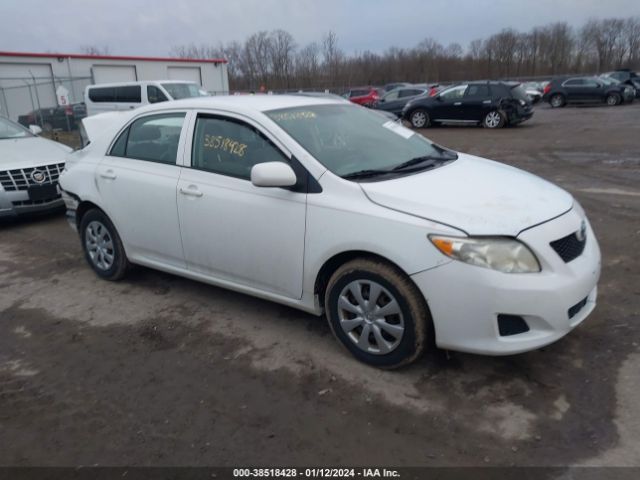 TOYOTA COROLLA 2010 2t1bu4ee7ac202351