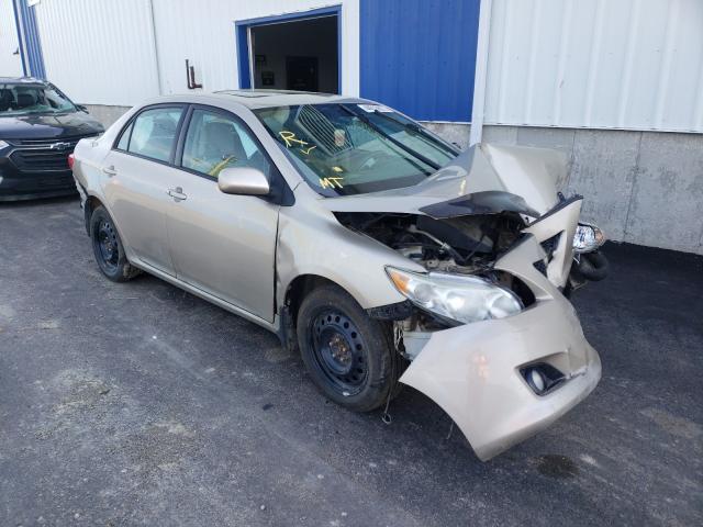 TOYOTA COROLLA BA 2010 2t1bu4ee7ac224298