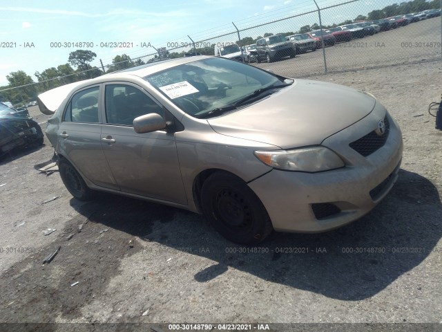 TOYOTA COROLLA 2010 2t1bu4ee7ac242042