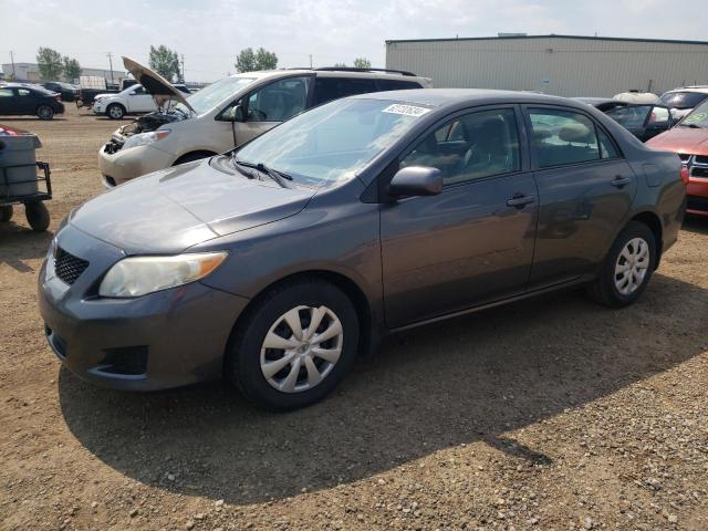 TOYOTA COROLLA 2010 2t1bu4ee7ac252294