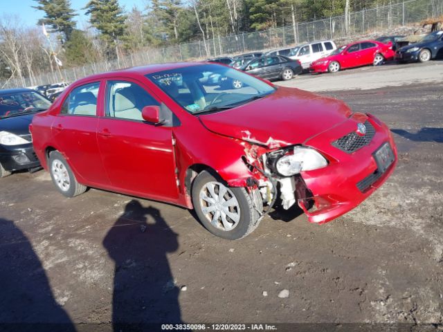 TOYOTA COROLLA 2010 2t1bu4ee7ac259911