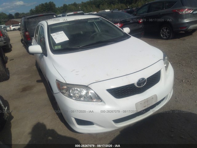 TOYOTA COROLLA 2010 2t1bu4ee7ac262064