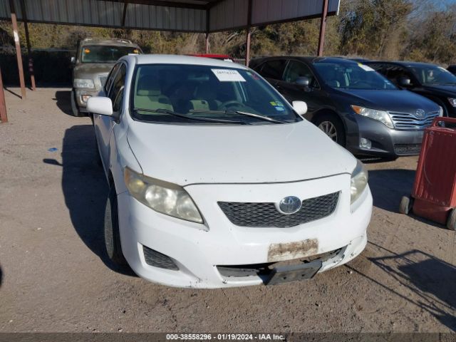 TOYOTA COROLLA 2010 2t1bu4ee7ac312364