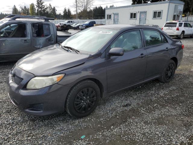 TOYOTA COROLLA BA 2010 2t1bu4ee7ac319377