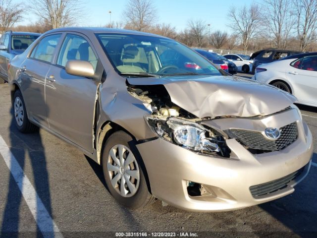 TOYOTA COROLLA 2010 2t1bu4ee7ac330489