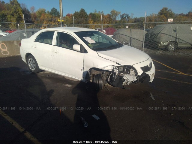 TOYOTA COROLLA 2010 2t1bu4ee7ac351164