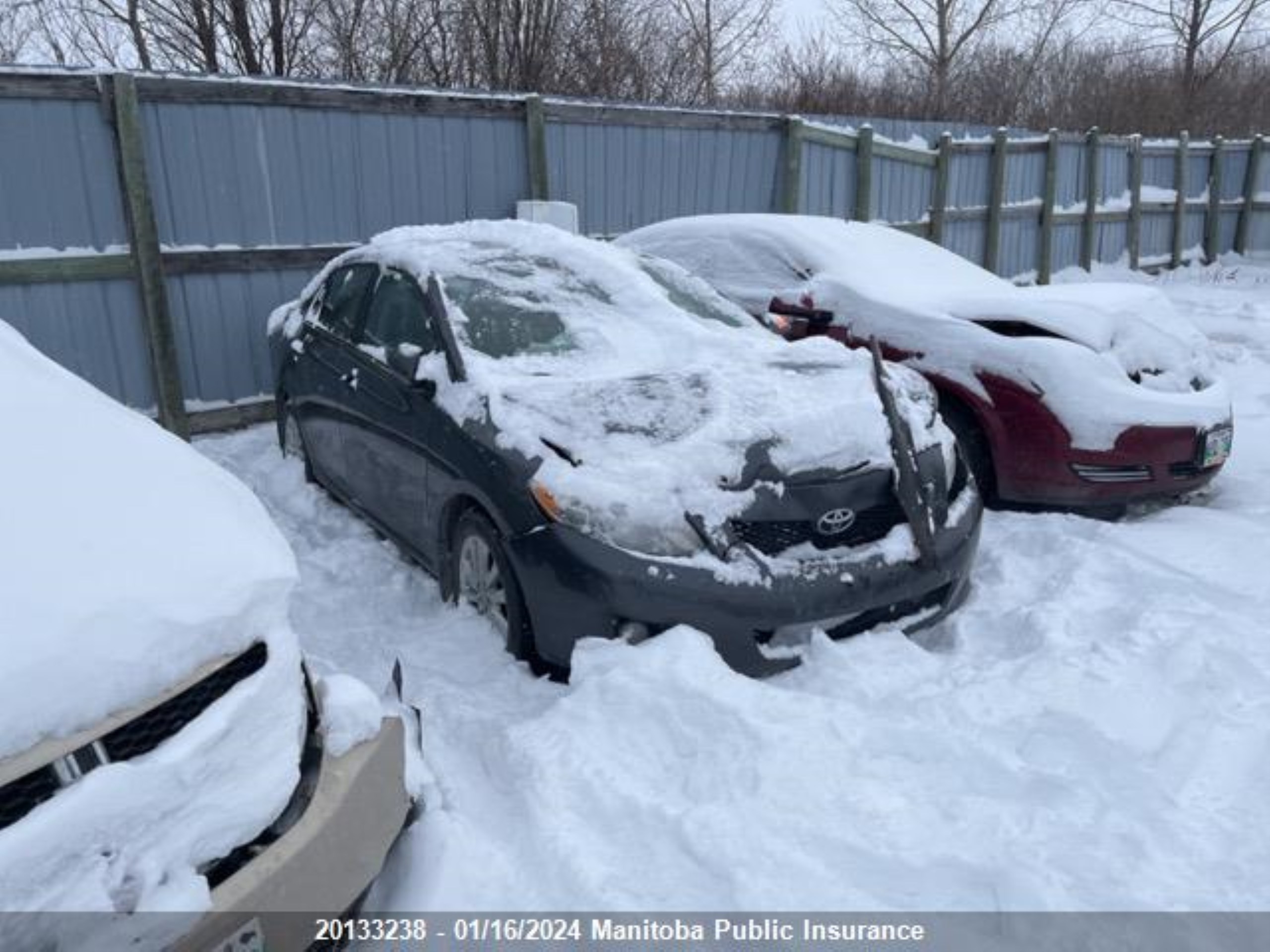 TOYOTA COROLLA 2010 2t1bu4ee7ac362925