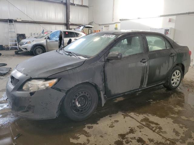 TOYOTA COROLLA 2010 2t1bu4ee7ac373116