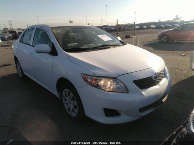 TOYOTA COROLLA 2010 2t1bu4ee7ac381264