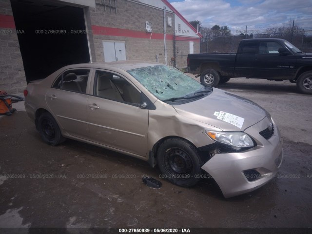 TOYOTA COROLLA 2010 2t1bu4ee7ac403263